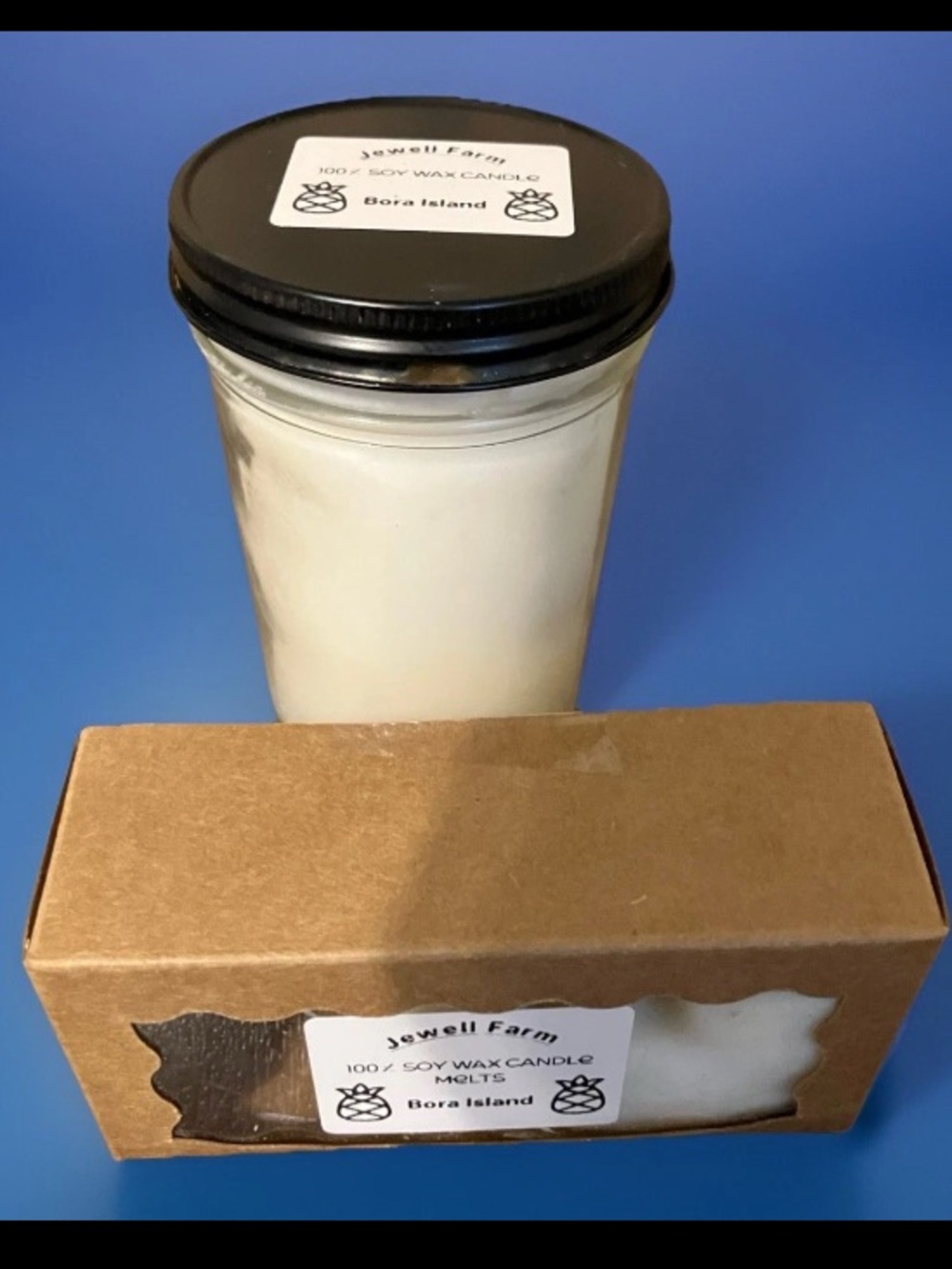Hand Poured Soy Wax Melts & 8oz Candle Bora Island Pineapple Coconut Scented